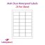 Laser Matt Transparent Polyester Labels, 21 per sheet, 63.5 x 38.1mm, LP21/63 MTP